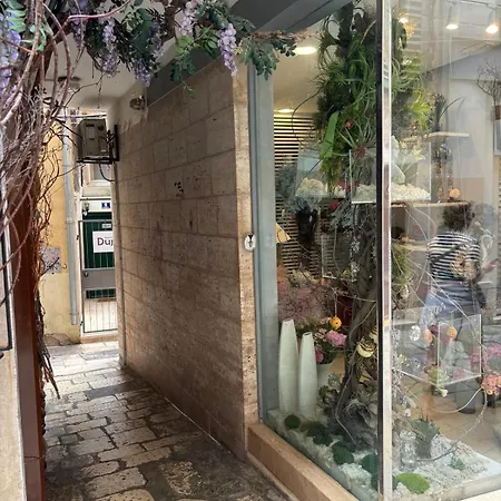 Apartman Ante - Diocletian's Palace